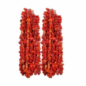 Dolmalik kuru biber45-50 stk